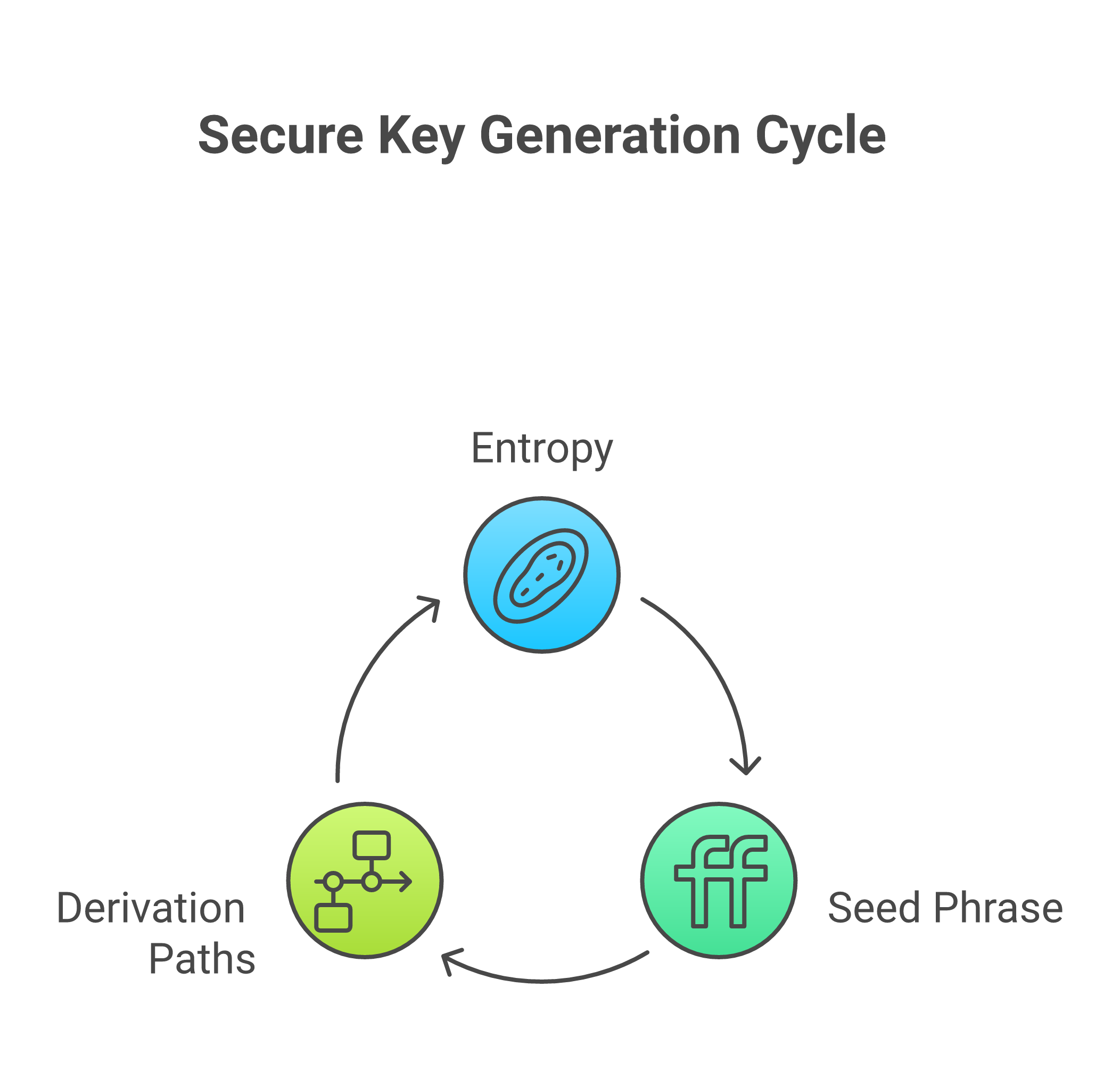 Modern wallets start with a single secret (your seed phrase) to securely and predictably manage keys for many different cryptocurrencies.